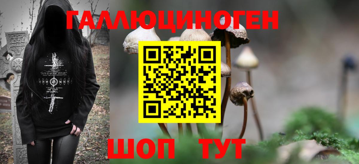 Галлюциногенные грибы MAGIC MUSHROOMS  Галлюциногенные грибы GOLDEN TEACHER  Курчалой  Вход с VPN 